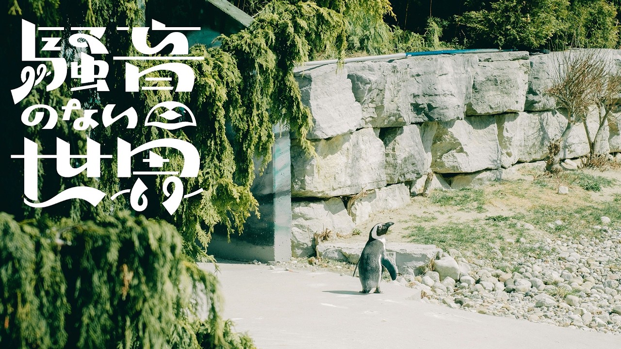 【Music】A Lost Child - Noiseless World
