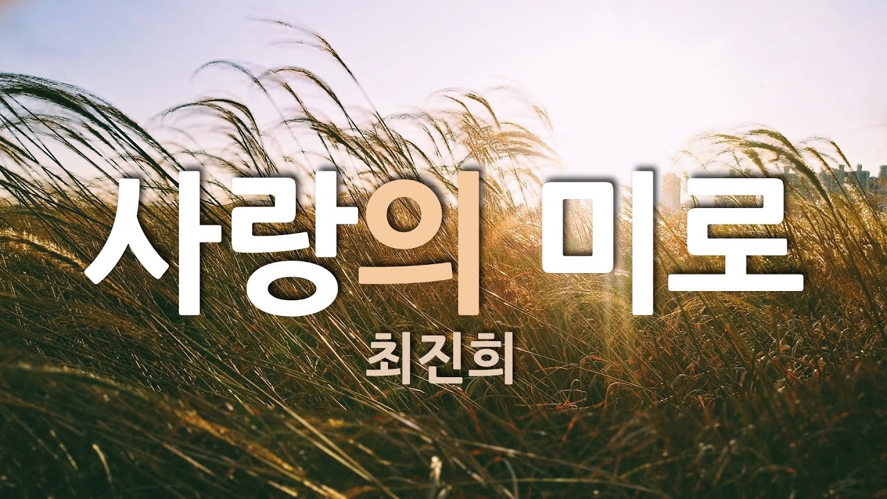 사랑의 미로 - 최진희 #통기타Cover