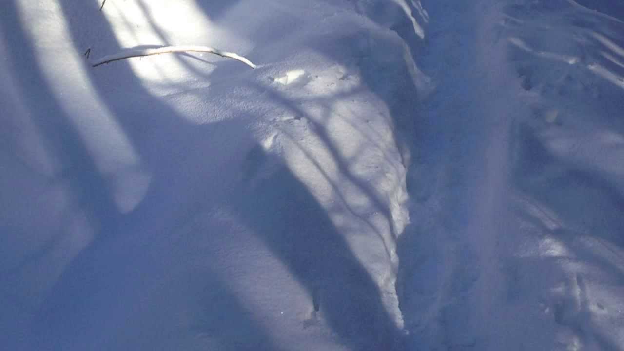&laquo; comme si le froid &raquo; (g&eacute;orgiques II)