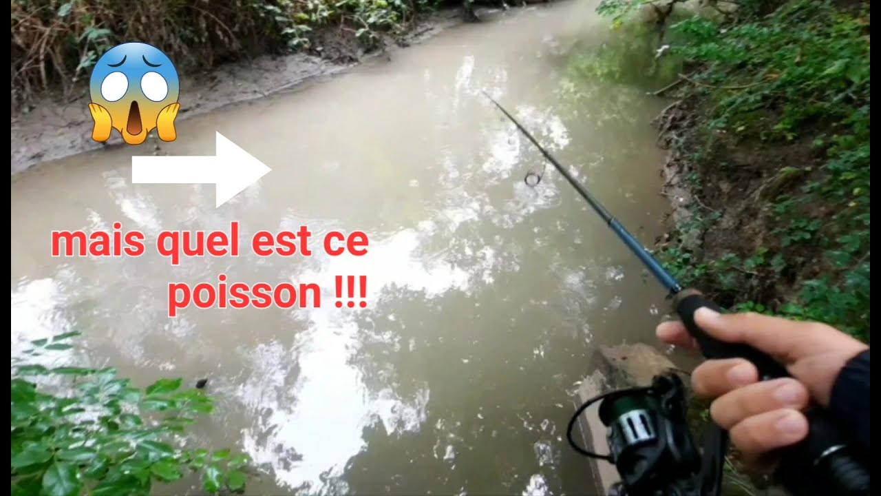 P&ecirc;che au vers en Alsace