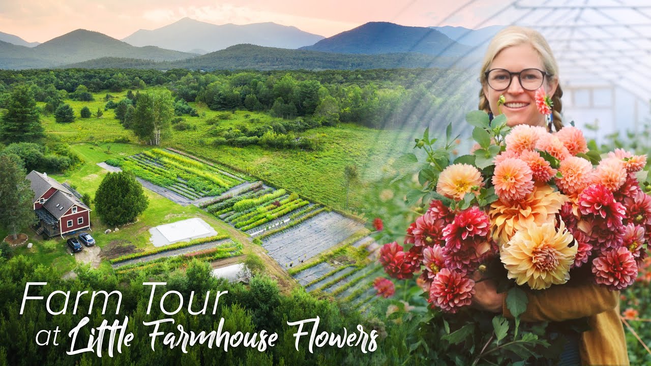 FULL TOUR of the BEAUTIFUL Little Farmhouse Flowers!