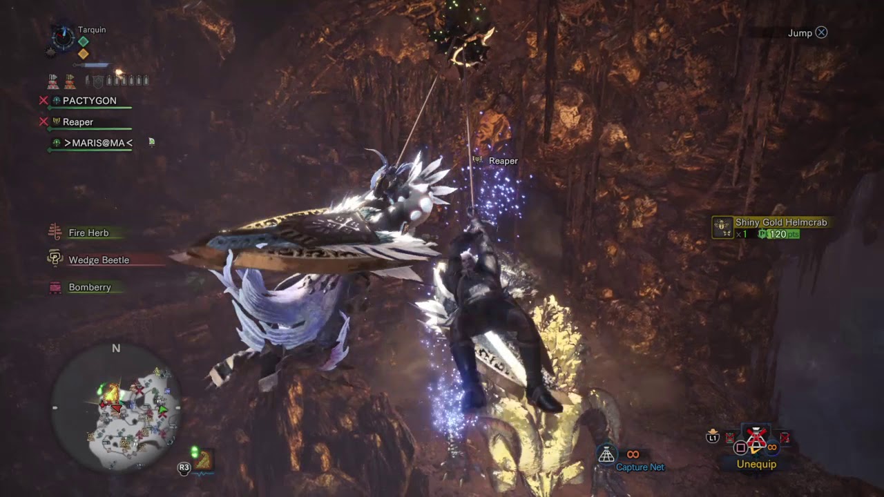 Capture Net OP