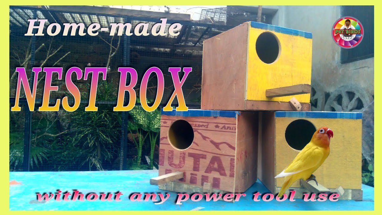 How to make budgies #homemade Breeding  
#nestbox | Lovebird nestbox.