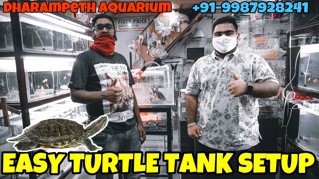 TURTLE TANK SETUP | DHARAMPETH AQUARIUM | NAGPUR VLOGS | SD VLOGS | SAGAR VORA