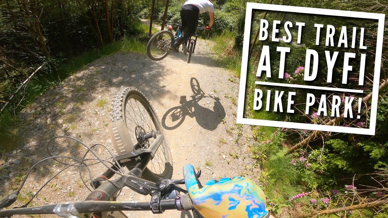 PARTY TRAINS DOWN THE BEST BIKE PARK IN WALES!!
