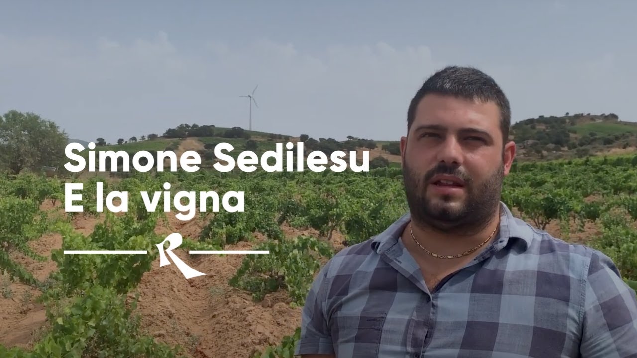 Simone Sedilesu 'Vike Vike', Mamoiada, Sardegna - La vigna