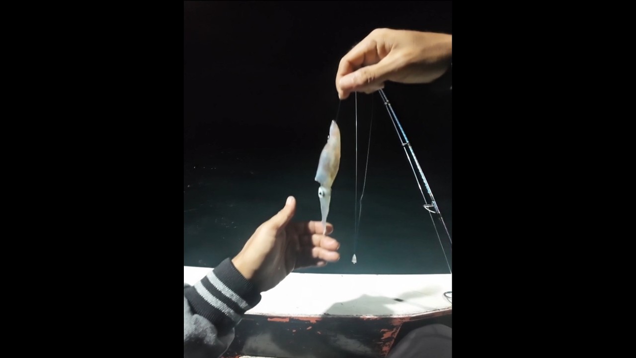 UMPAN SEJUTA UMAT MEMANG GACOR