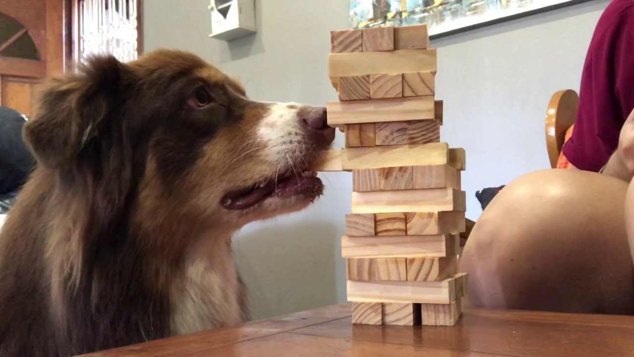 Mysti playing Jenga