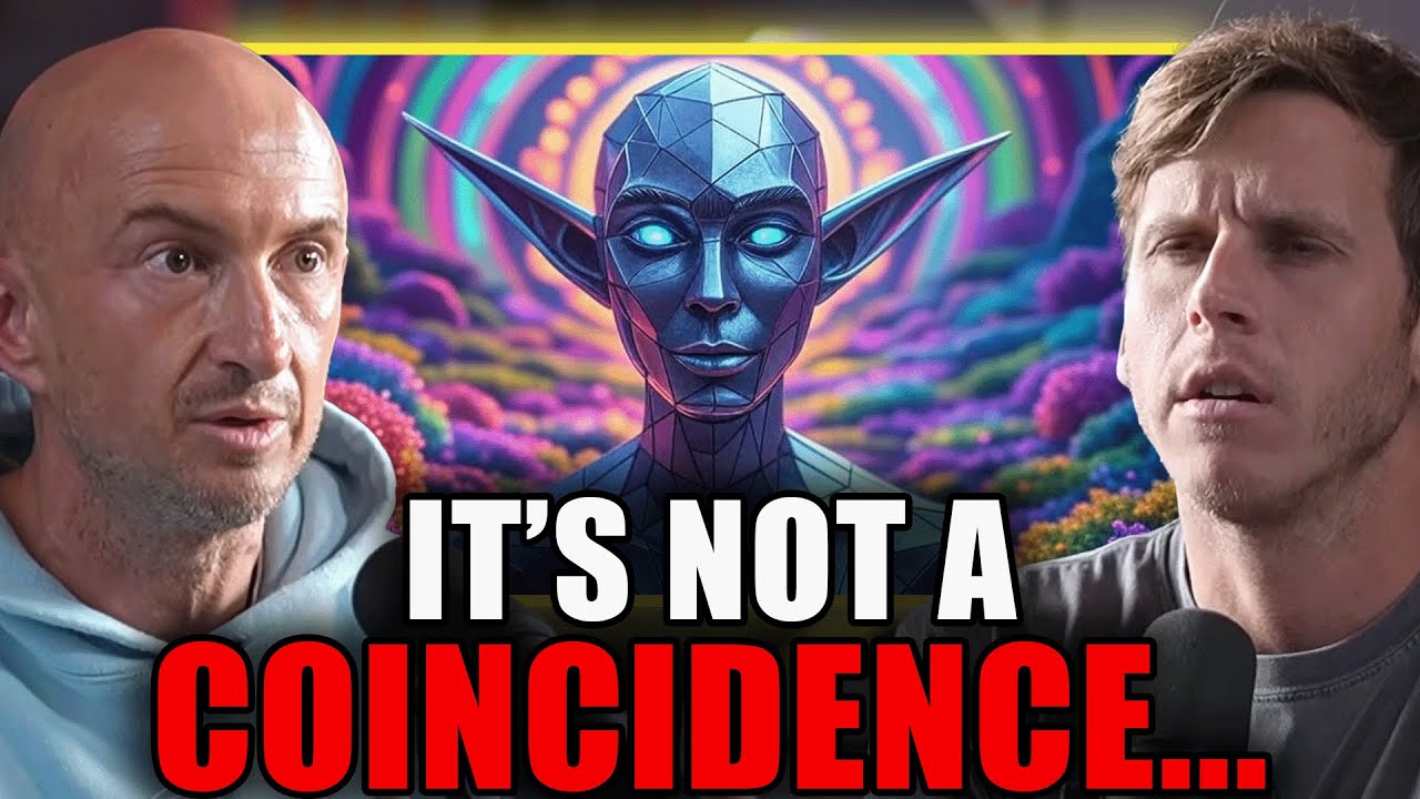 Why DMT Entities Appear the Same to Everyone: Machine Elves Explained | Andrew Gallimore
