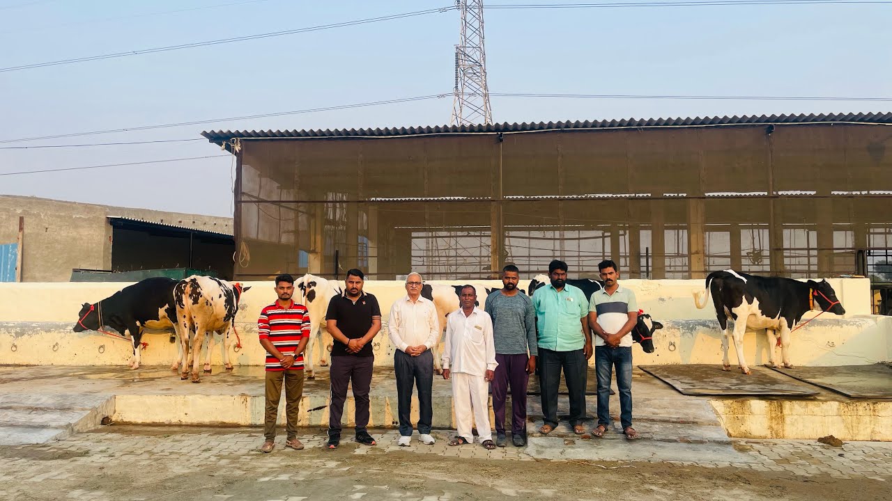 बी कॉम होल्डर स्वप्निल ज़ादव दुवार वंश डेरी से की ख़रीदी टॉप क्लास गायें आप भी परखो Vansh Dairy Farm