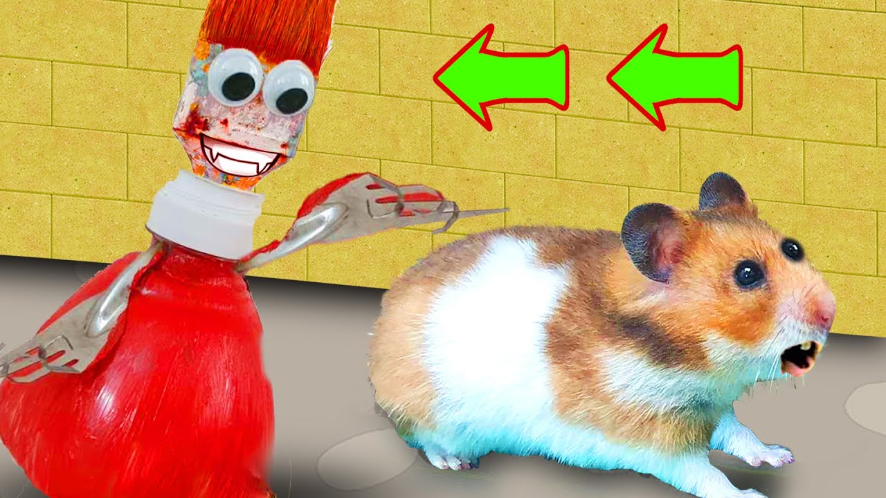 🐹 Robot Zombie Maze Hamster 🐹 Traps pyramid rescue in Hamster Stories