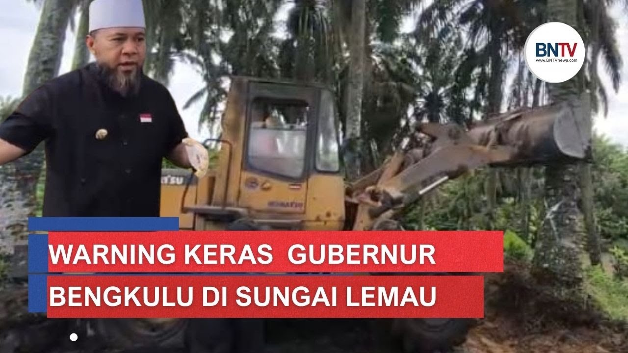 GUBERNUR BENGKULU BERI PERINGATAN KERAS! Sawit di Pinggir Sungai Dibabat,  Giliran Tambang?