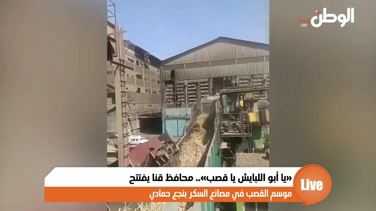 «يا أبو اللبايش يا قصب».. محافظ قنا يفتتح موسم القصب في مصانع السكر بنجع حمادي