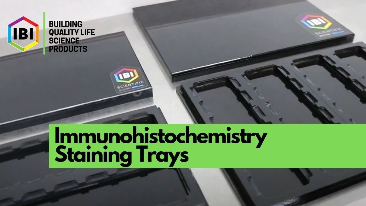 Immunohistochemistry Staining Trays | IBI Scientific