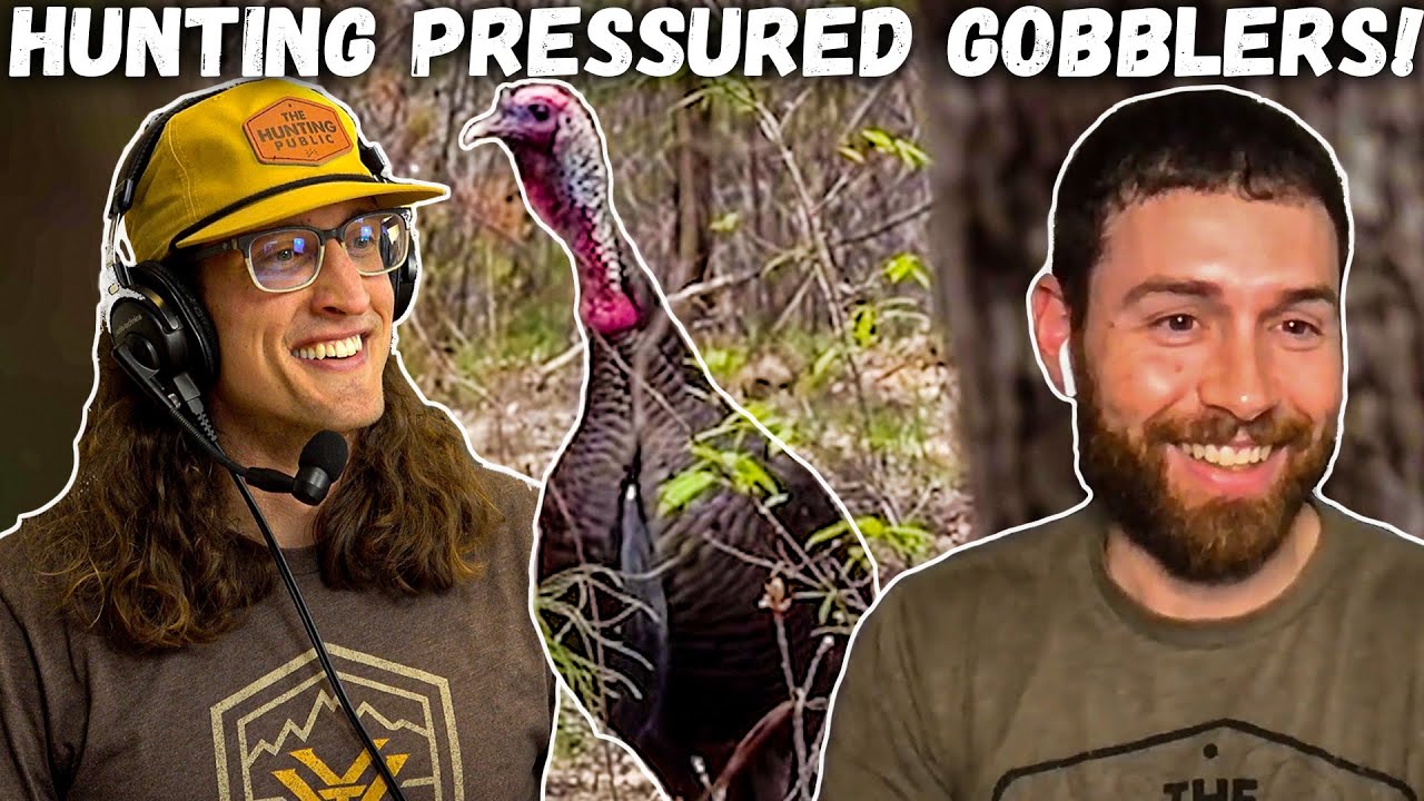 How PRESSURE Affects TURKEY Behaviors - Season Update with Warb