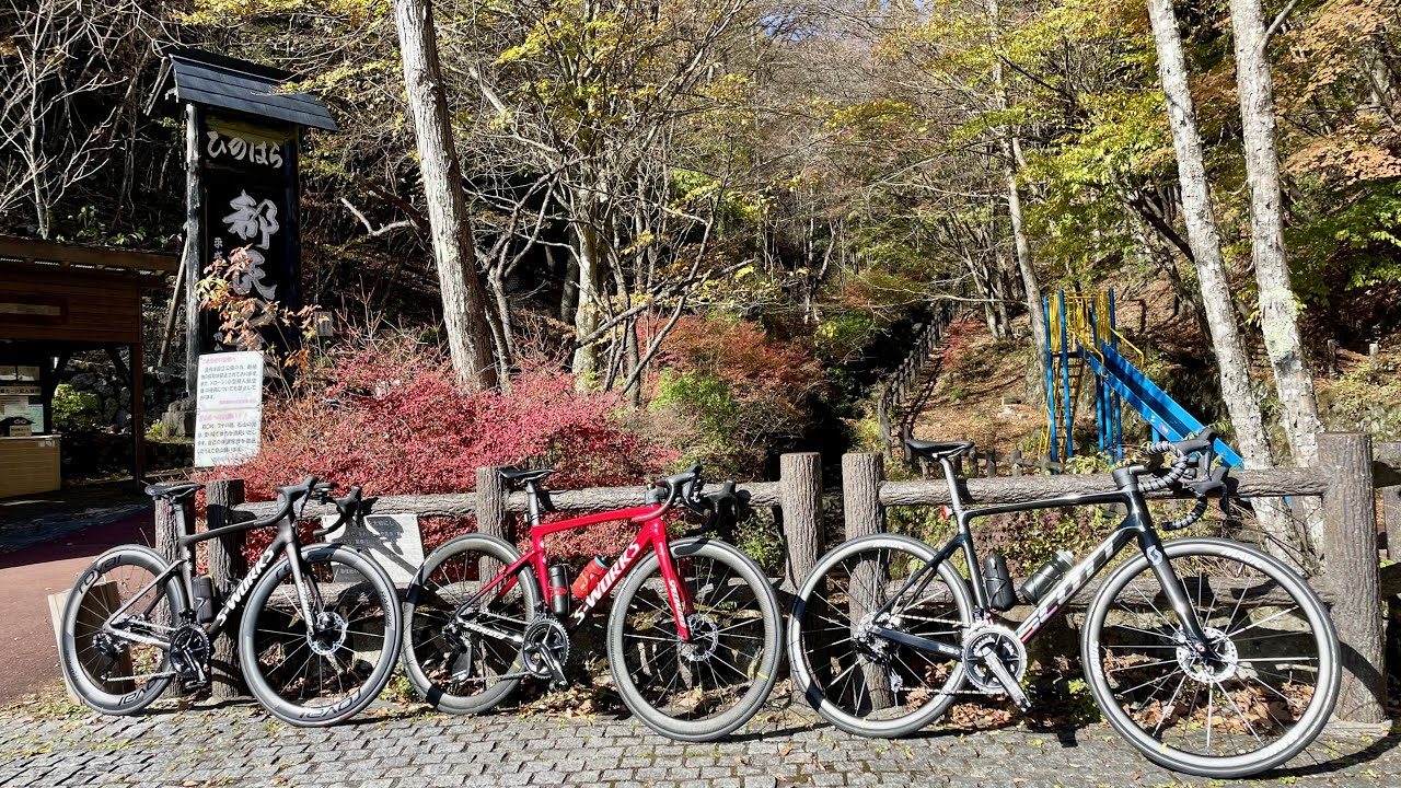 都民の森から奥多摩湖周回