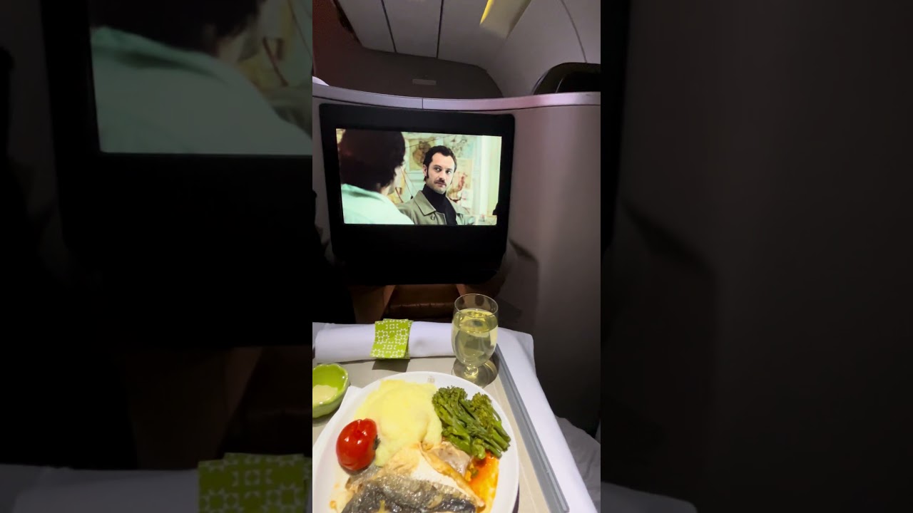 TAP (Transportes A&eacute;reos Portugueses) Air Portugal, Business Class,  Voar em Executiva