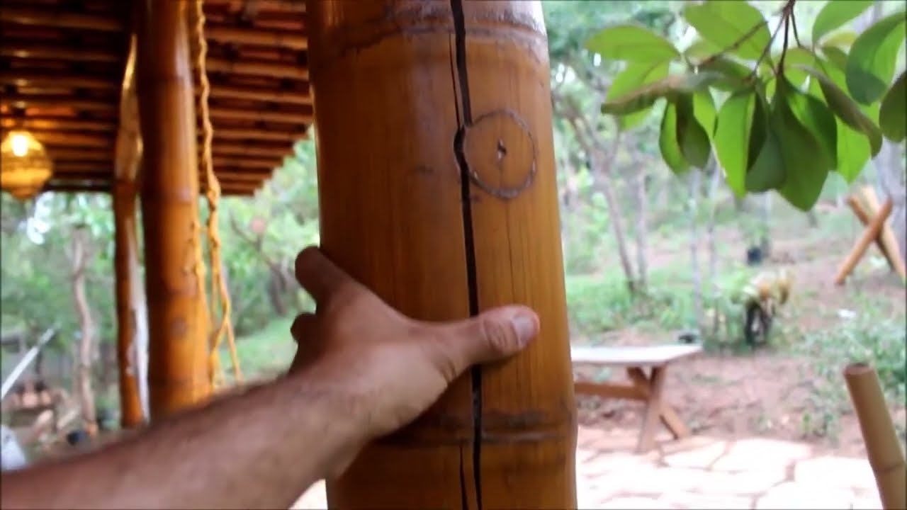 Problemas de construções com bambu