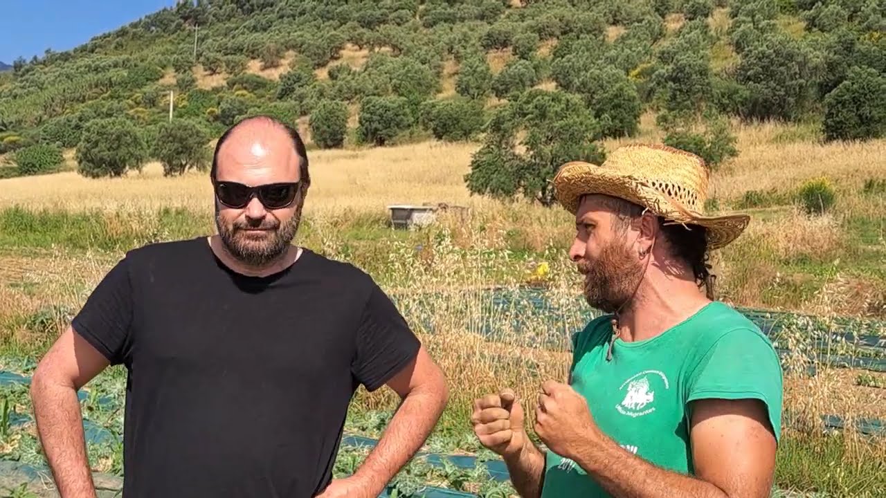 Cos'è l'agricoltura rigenerativa. Principi e pratiche