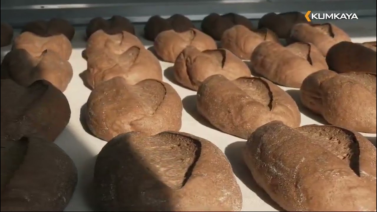 Industrial Bread Production with Kumkaya Fully Automatic Line