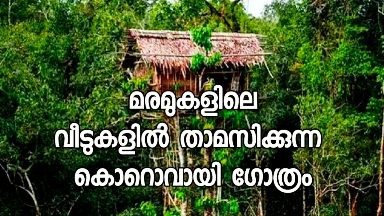 മരമുകളിലെ വീടുകളിൽ താമസിക്കുന്ന കൊറൊവായി ഗോത്രം||tribal mission Pathanamthitta 