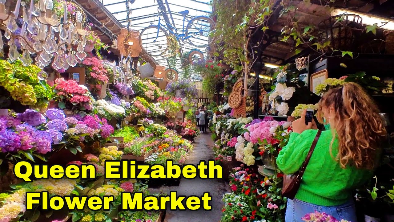 🇫🇷  Queen Elizabeth Flower Market in Paris 🌺 🚶