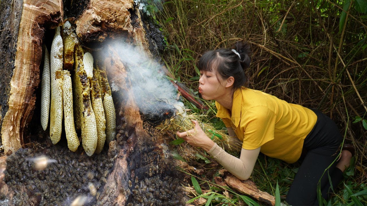 Full video : Harvesting honeycomb with billions of bees, dragon fruit, jackfruit to the village sell