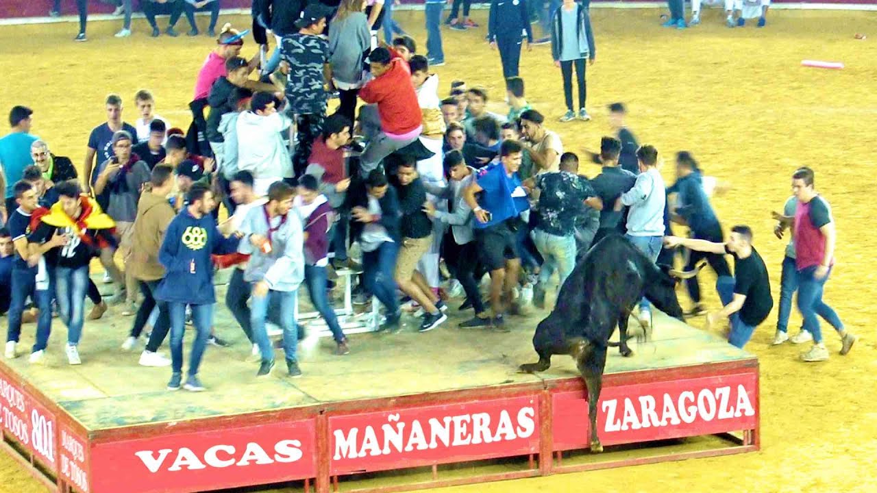 ✅ZARAGOZA 22  DIVERTIDAS  Mañanas Vaquilleras