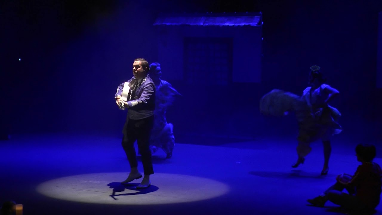 Espect&aacute;culo Coco, tributo musical