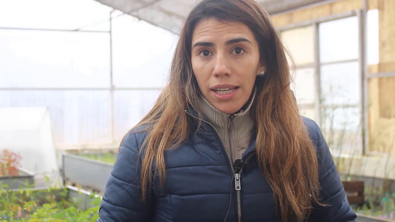 Vivero Forestal Educativo de la Facultad de Ciencias Agropecuarias - Universidad Nacional de Córdoba