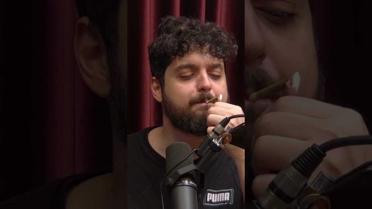 MONARK VOLTOU A FUMAR MARIJUANA? #shorts