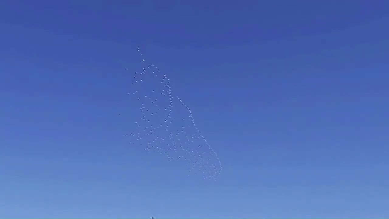 Healing - UFOS or birds?