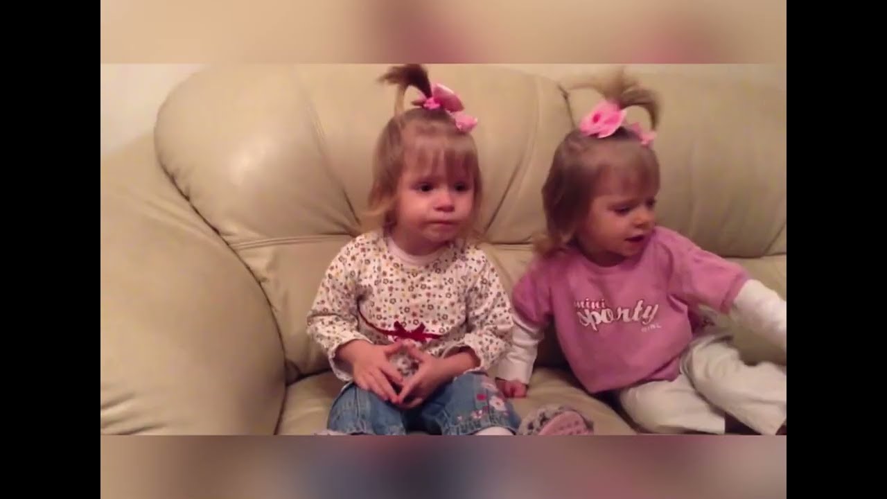 Этих красоточек мы забрали к себе в 1 месяц и 3 недельки… Сегодня им почти 12 😁🥰😍