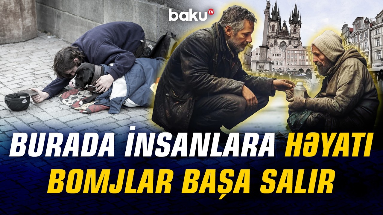 Uşaqlar meşədə yatır, itlər VIP həyat yaşayır | Bu şəhərdə həyat tamam başqadır - ORALARDA NECƏDİR?