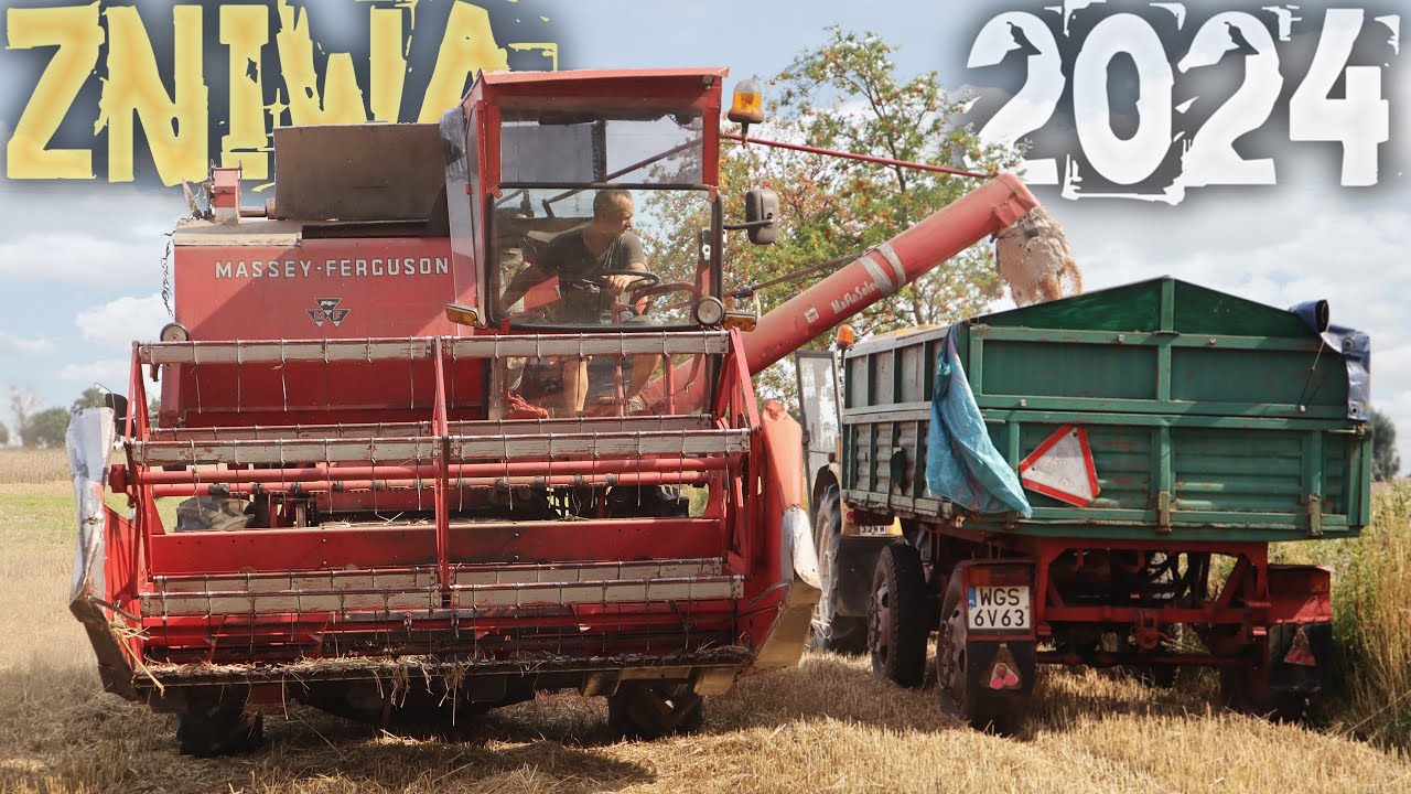 Blacha W Kombajnie.. 😱 Walka Z Czasem & Kończymy Pszenicę 😍 Żniwa 2024 w GR SOLEC [Odc.10] 🌾 MST