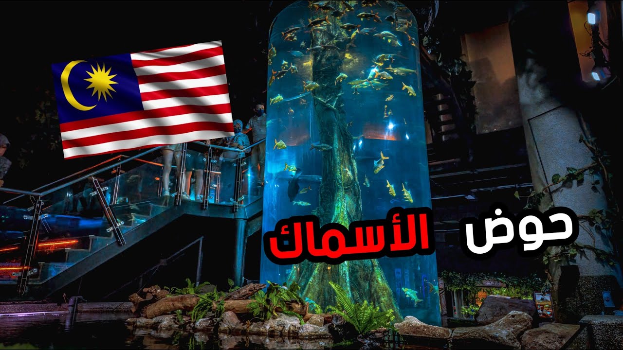 زرت  حوض  الاسماك في ماليزيا || Aquaria KLCC