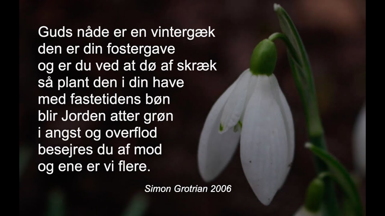 Guds nåde er en vintergæk