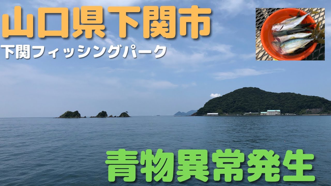 【下関フィッシングパーク】アジの泳がせ釣りで青物GET♪