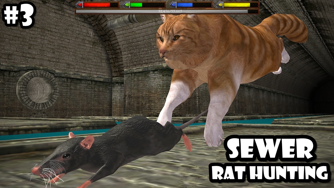 Ultimate Cat Simulator - Sewer Rat Hunting - Android/iOS - Gameplay Episode 3