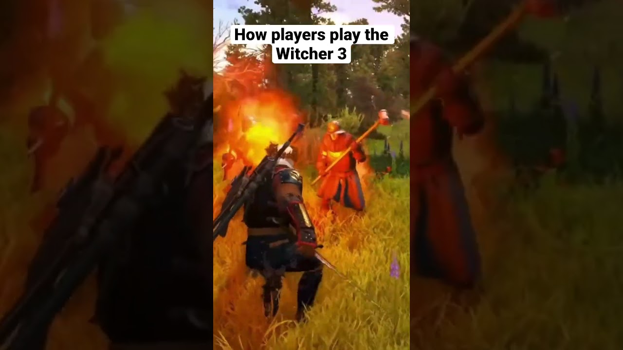 How the Developers want us to play Witcher 3VS how we play 