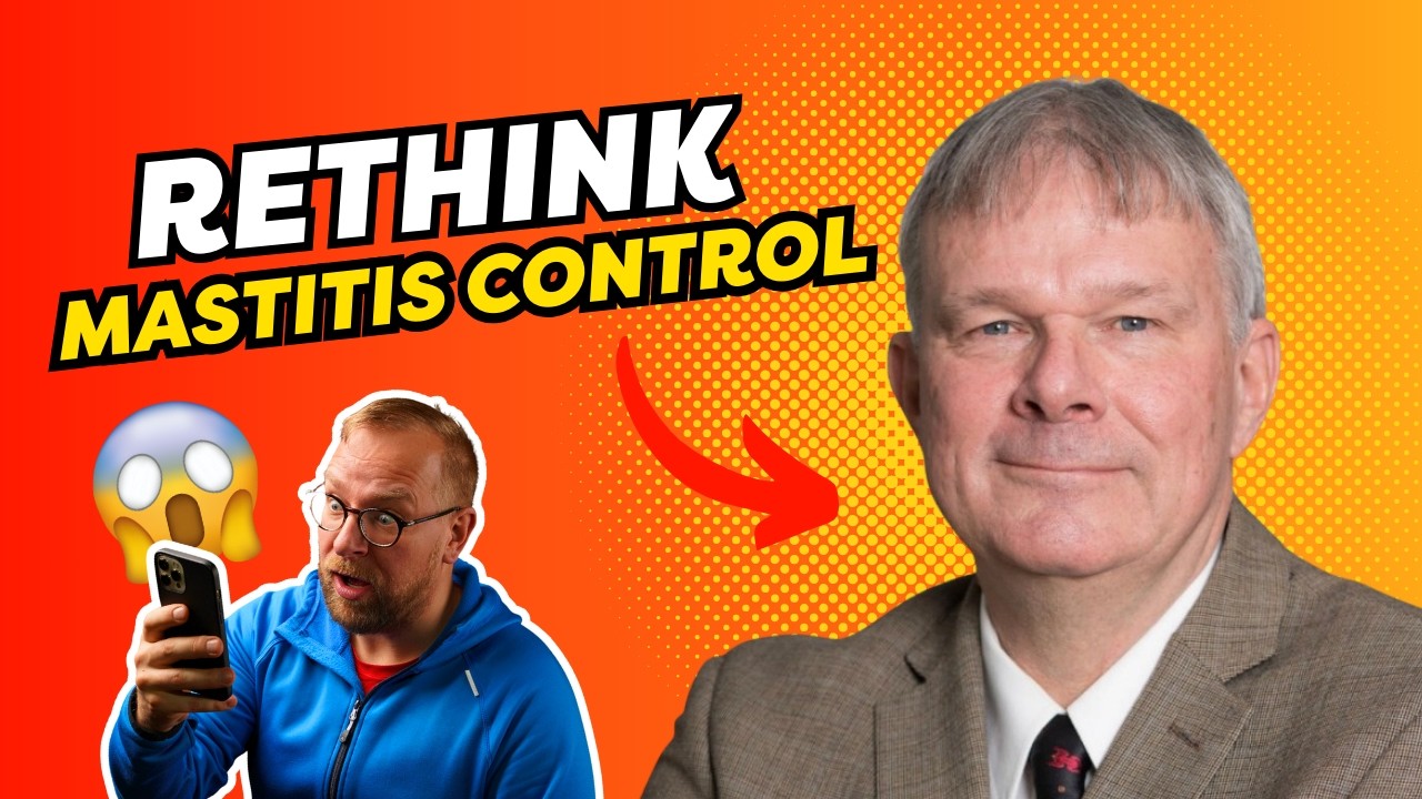 Стратегии профилактики мастита - д-р Герман Баркема