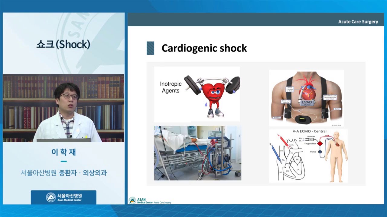 쇼크(shock)