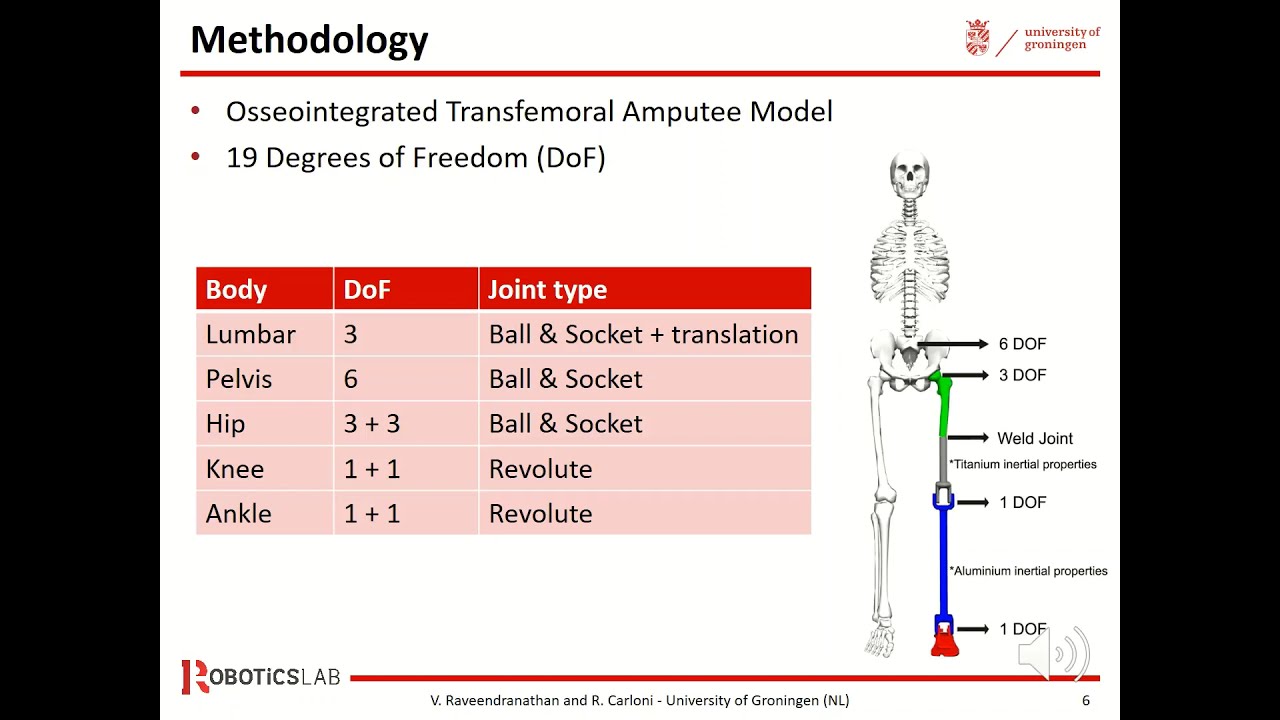 Musculoskeletal Model of an Osseointegrated Transfemoral Amputee in OpenSim