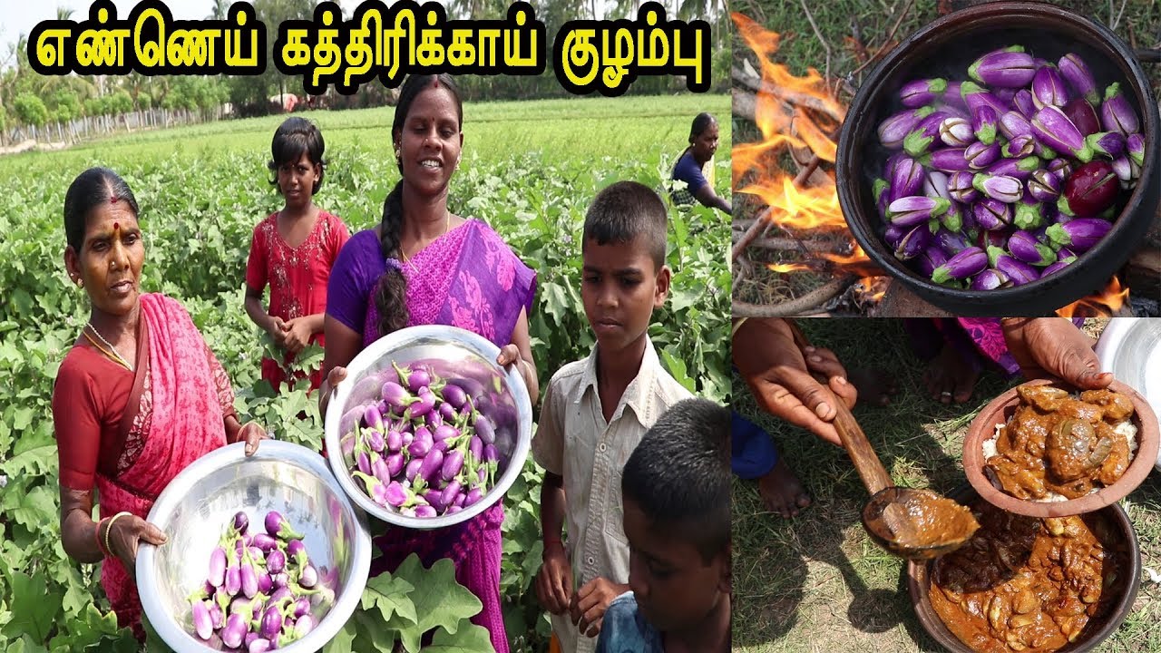 🍆🍆🍆🍆 Ennai Kathirikai Kulambu / தோட்டத்தில் பறித்த  பசுமையான  எண்ணெய் கத்திரிக்காய் குழம்பு,
