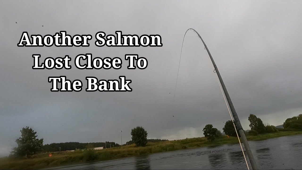 Salmon Fishing River Tay July 2024