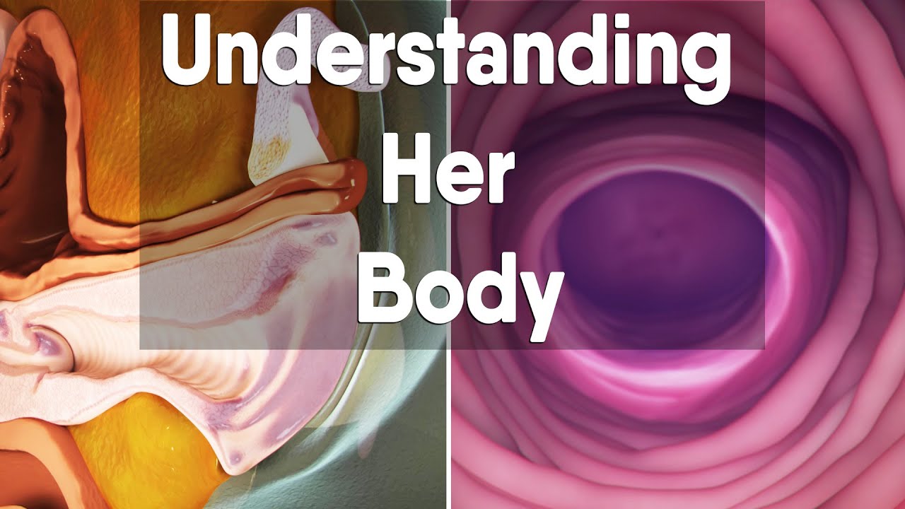 Understanding Her Body