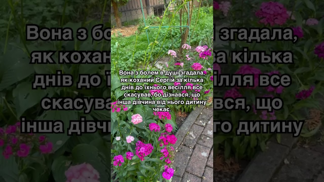 Глухий кут у житті Марини, який перетворився на крутий поворот