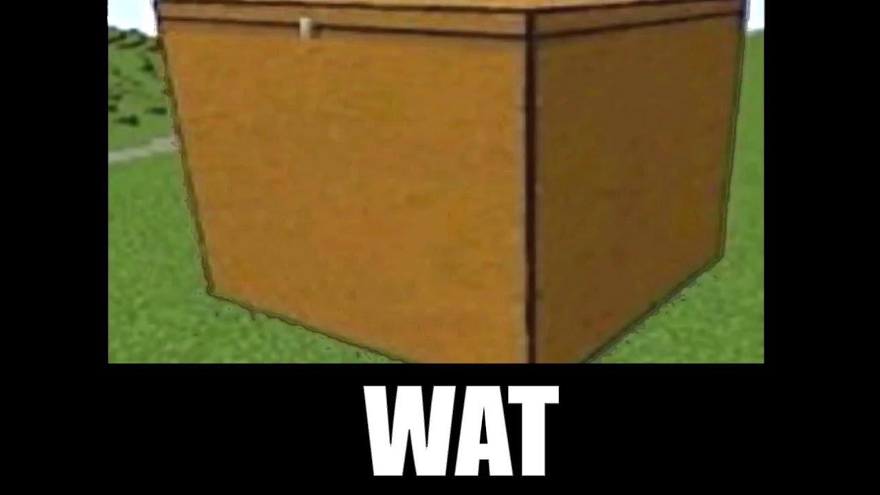 Wait... what? minecraft meme part 69
