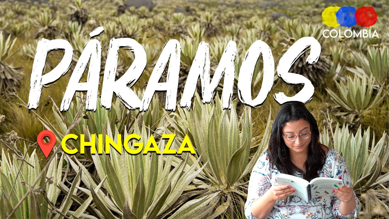 Learn about the Paramos of Colombia &ndash; Colombian Travel Guide