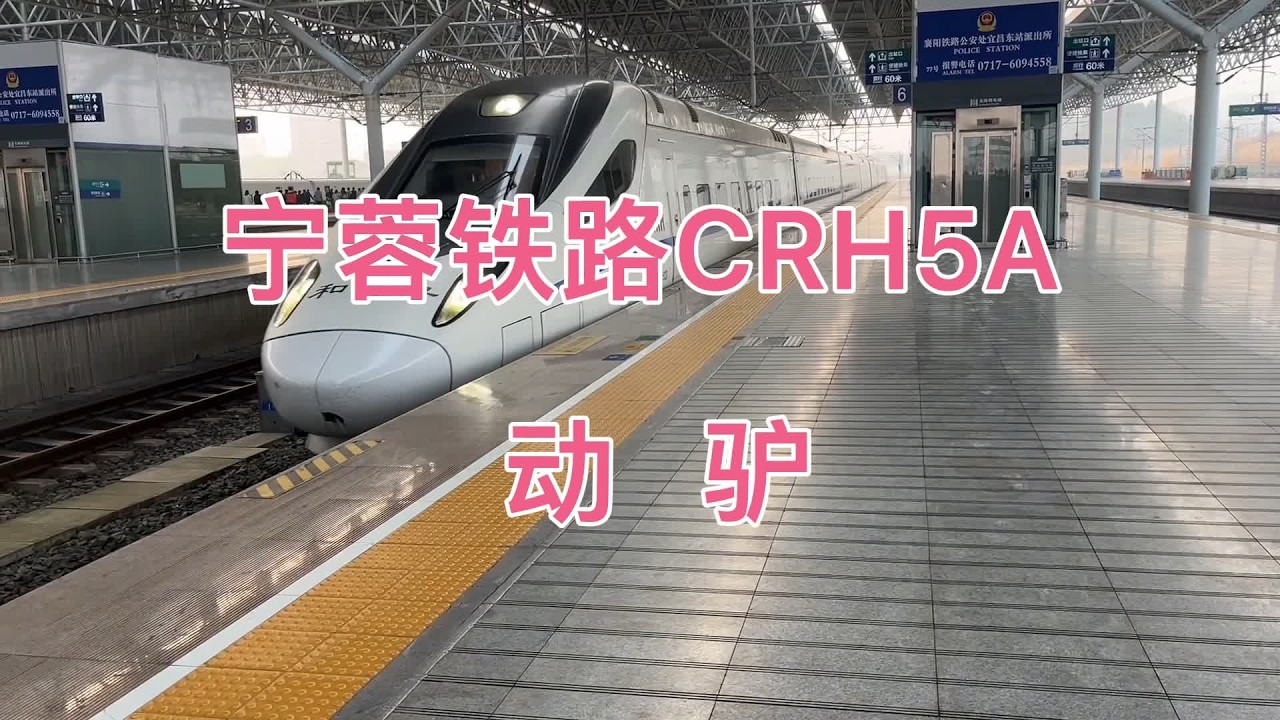 运转记录宁蓉铁路宜昌东到汉口区间D2260，车体更换为“动驴” #动车组 #交通强国铁路先行